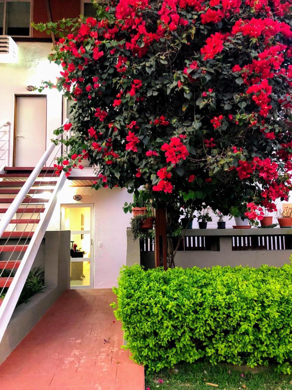 Flat 301 Villa Hipica Resort - Gravatá, PE Exterior foto